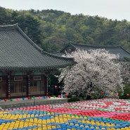 먹고 자고 놀고 운동하고 일하는 주간 일기