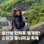 일년에 단하루 춘천 소양강댐 개방! 용너미길 축제 방문 후기
