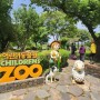 서울대공원 테마가든의 어린이동물원 좋으네