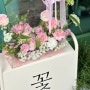 [청주] 율량동 꽃집 꽃새록 화분내돈내산 (신상 아크릴백도 보고왔어요♥)