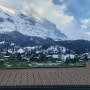 [스위스] 융프라우 전망이 보이는 그린델발트 숙소 호텔: Eiger Lodge 아이거로지