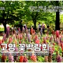 고양 꽃박람회 일산호수공원 분위기, 서울근교 여행