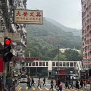 에리카 홍콩여행 2일차 (240131)