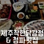 제주 동쪽 구좌 - 고등어회 맛집 '청파' 닭강정 맛집 '착한닭강정' 내돈내산 포장후기
