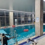 고양:) 국내 유일 프리다이빙 전용 잠수풀이 있는 프리다이빙 전문 교육 센터 <메르 프리다이빙센터>