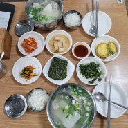 해운대 대구탕 맛집 기와집대구탕 솔직후기