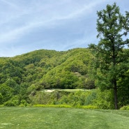 소노펠리체 비발디파크 WEST 가족라운드