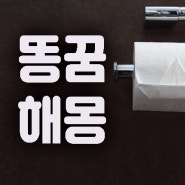 똥지리는 꿈 해몽풀이! 어떤 똥꿈이 대박 로또 꿈일까?