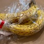 바나나 단상