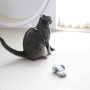 두잇 고양이장난감 고양이쥐장난감 duit 마우스봇