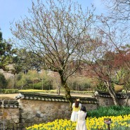 예산 봄여행 꽃구경 여행지 리스트 (추사김정희선생고택, 창소유수지공원)