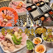 금곡동 맛집, 육짝 수원호매실점에서 돼지특수부위 후기 feat.뒷고기,부속고기