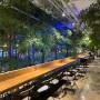 [의정부]카페국립공원_분위기 좋은 대형 식물카페 / 대나무와 팬더 한가득 / 콘서트 정보
