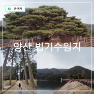 경남 양산 볼거리 부산근교 나들이 드라이브 코스 법기수원지