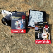 친절한 스토어 도레미에서 구입한 배송이 빠른 미러리스 카메라用 샌디스크 익스트림프로 SD카드 64GB