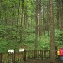 5월 추천 자연휴양림 - 무주 덕유산 자연휴양림