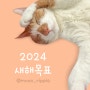 [윤슬의일상] 2024 새해 목표