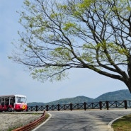 순천만정원 스카이큐브 예약 갈대열차 탑승 후기