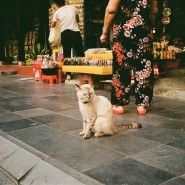 [베트남] 필름카메라로 남긴 베트남 여행 - 2