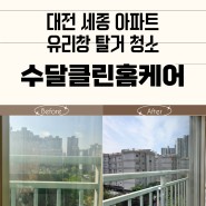 수달클린홈케어 대전 세종 아파트 유리창 탈거 청소 대전소파청소 전문