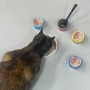 이나바신상품 높은기호성 고양이습식 챠오 주식캔