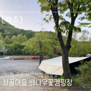 파주캠핑장 서울근교캠핑 쇠꼴마을 배나무꽃 캠핑장