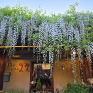 제주카페 : 등나무꽃이 예쁜 카페 '헛간'