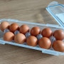 (내돈내산) 달걀보관용기 락앤락 계란용기 후기