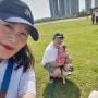 아기와 강아지 산책하기 좋은 달빛축제공원 2024 송도바람축제 주차