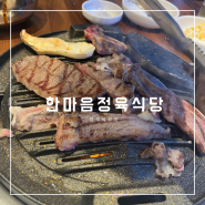 옥정 맛집 대형놀이방 숙성생고기전문점 한마음 정육식당 양주 옥정점