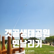 시흥 갯골생태공원 주차 팁 C 구역 연날리기 후기