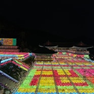 부산] 삼광사_부처님오신날 연등축제