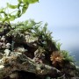 해수어항 암초의 변화 모습