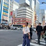 도쿄 너의이름은 계단 (스가신사), 아키하바라, 시부야, 오모테산도 쇼핑, 도쿄타워 야경