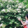 대전 한밭수목원 동원 서원, 5월꽃구경 가볼만한곳 산책로좋은 데이트코스