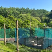경기도 아이와 가볼 만한 곳 동두천 놀자숲 테마파크