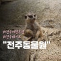 [전주동물원]어린이날 아이와 함께 가기 좋은 전주 여행지 추천(주차, 가격)