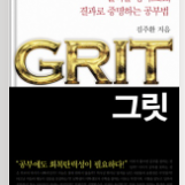 Grit(그릿) 김주환 지음