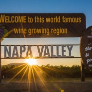 와인계 신흥강자 가성비 높은 캘리포니아 와인 나파 밸리 02