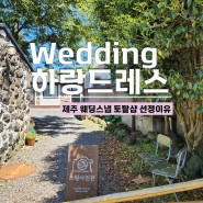 결혼준비:: W.16 하랑드레스, 제주 웨딩스냅 토탈샵 선정 후기, 제주 드레스 메이크업 수트 (feat. 제주스냅 헬퍼)