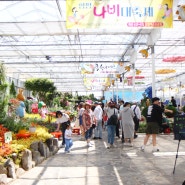 함평나비축제 기본정보 입장료 먹거리 소개&함평 육회비빔밥 맛집 소개