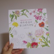 하루 한송이 꽃 그리기 수업 - 이마이미치 사계절 꽃말 담긴 컬러링 북