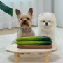 강아지 오이 채소 급여량 야채 간식 오이씨 껍질 먹어도 될까?