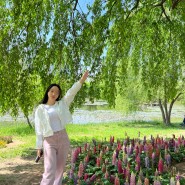 고양꽃박람회 일산호수공원 튤립 꽃축제 5월 여행지 가볼만한곳 추천