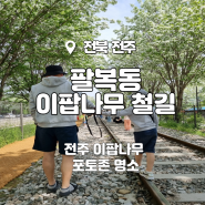 [4월4주]전주 팔복동 이팝나무 철길_이팝나무 포토존 명소 철길 개방