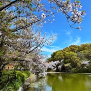 오사카 여행 코스 가볼만한곳 :: 덴노지 공원