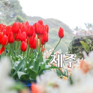 제주 상효원 수목원 4월 제주도 가볼만한곳