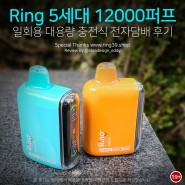 Ring 5세대 12000퍼프 일회용 대용량 충전식 전자담배 후기