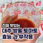대추 방울 토마토 즙 주스 효능 과 부작용 햇또롱 건강음료 챙겨먹는 방법
