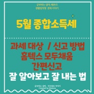 5월은 종합소득세의 달, 종합소득세 신고 대상, 신고 방법 정리 (프리랜서, 직장인 종합소득세)